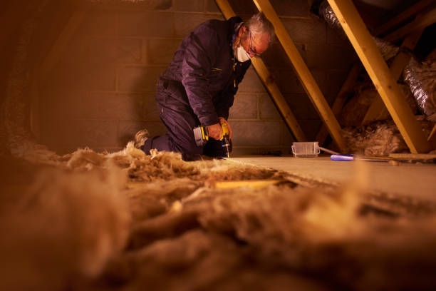 Best Professional Insulation Contractor  in Kingstowne, VA
